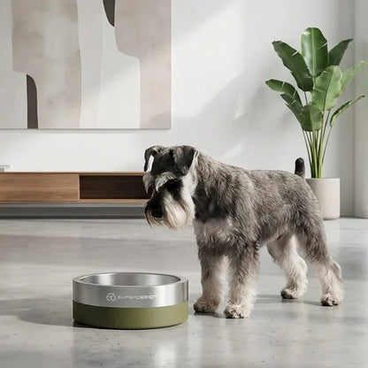 Cooling Dog Bowl